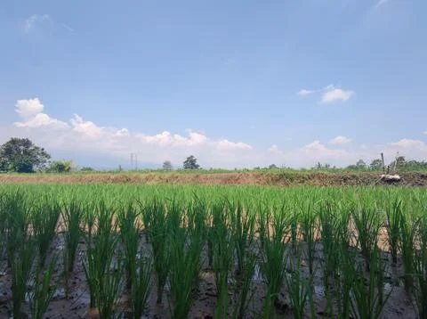 Clouds under the fields Stock Photos