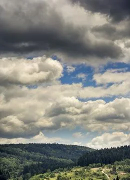 Clouds under the spruce Carpathian forest, Skole Beskids National Nature Park Stock Photos