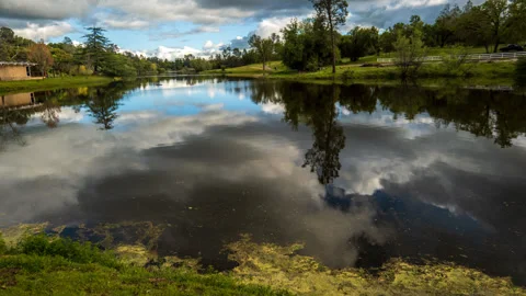 Clouds, Walkers, Ducks, Geese on small Lake Timelapse Stock Footage 278893624
