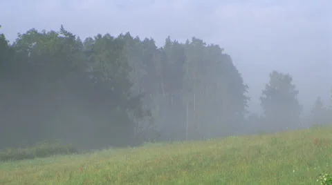 Clouds wandering through the meadow Stock Footage 28702185