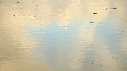 Clouds in water with floating sticks Stock Footage 10750414