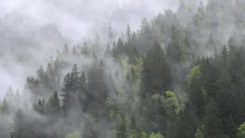 Clouds weave through the steep valley Stock Footage 277076550