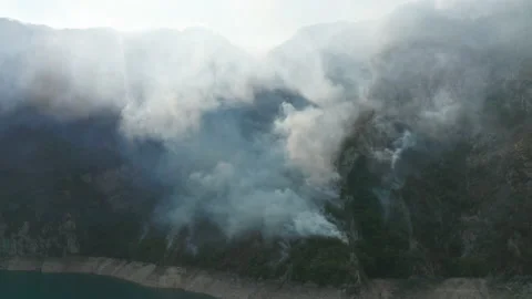 Clouds of white smoke from a wildfire backlit by sun, caused by burning forest Stock Footage 159793588