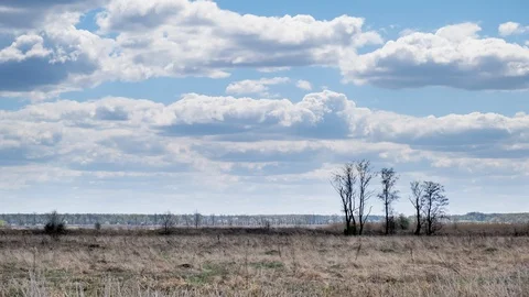 Clouds at wild field at spring. Time lapse Stock Footage 129340729