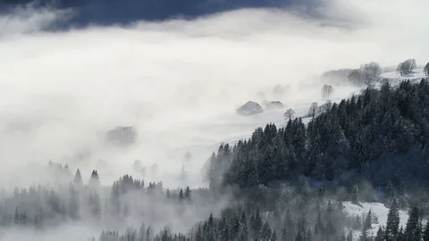 Clouds in the winter forrest. Alps and mountains. Misty mountains. Video stock 99058785