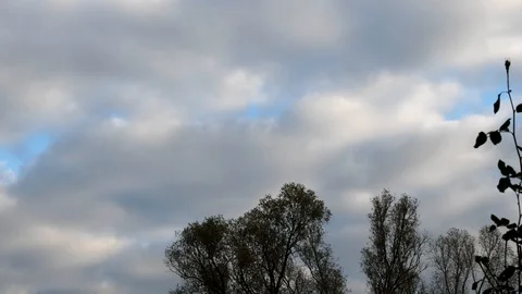 Clouds on wood - time lapse Stock Footage 120883851