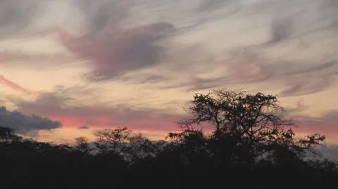 Clouds02.mov 動画素材 7770175