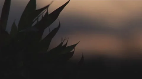 Clouds05 動画素材 7770261