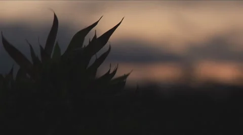 Clouds06 Stock Footage 7770283