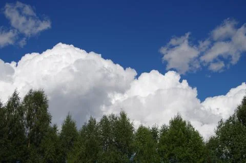 Clouds,blue sky and a forest Stock Photos