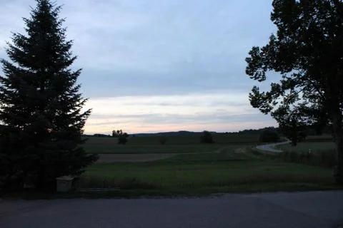 Cloudscape between two trees Stock Photos