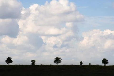 Cloudscape of Dense White Cumulus Clouds over Trees in Bavaria, Germany Stock Photos