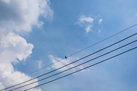 Cloudscape fluffy dramatic white cloud on blue sky with birds standing on wir 写真素材
