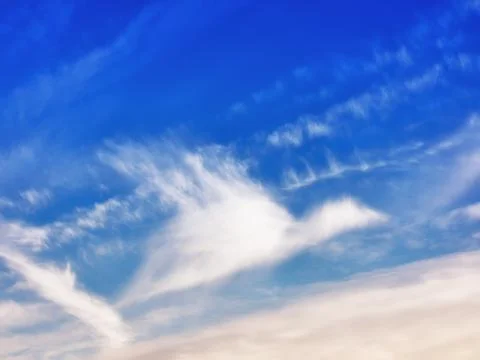 Cloudscape flying bird Foto stock
