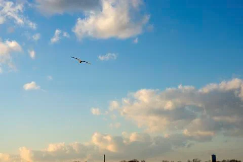 Cloudscape at Keyport Harbor Stock Photos