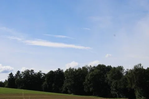 Cloudscape over forest Stock Photos