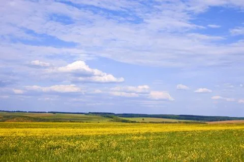 Cloudscape over rapeseed and barley field Stock Photos
