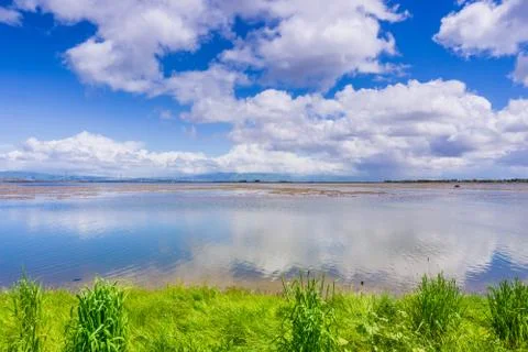Cloudscape reflected in the ponds; Dumbarton bridge and office buildings in t Stock Photos