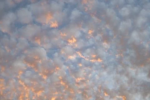 Cloudscape sky background. Cloud in pink sky. Background with cloud. Dramatic Photos
