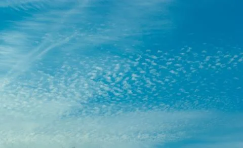 Cloudscape of Small Cirrocumulus Clouds 写真素材
