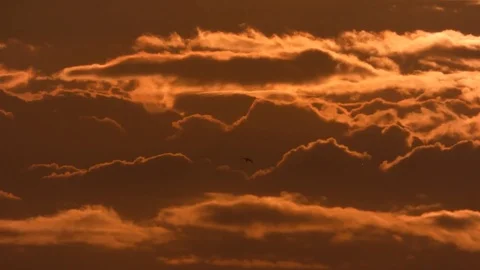 Cloudscape at sunset. 4K UHD footage. Stock Footage 76771347