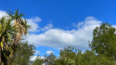 Cloudscape Time Lapse In The Background. Movie Stock Footage 170936454