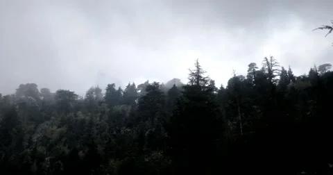 Cloudscape Time Lapse Over the Mountain Forest Stock Footage 68775456