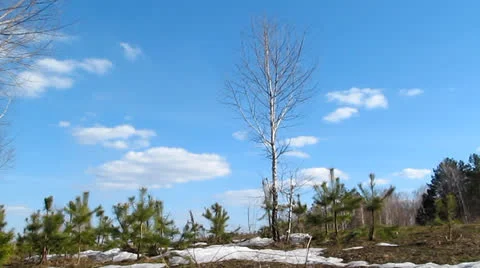 Cloudscape Timelapse Stock Footage 23478867