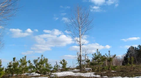 Cloudscape Timelapse Stock Footage 23482887
