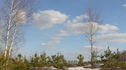 Cloudscape Timelapse Stock Footage 23524873