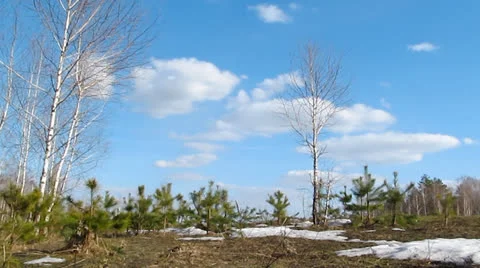 Cloudscape Timelapse Stock Footage 23529574