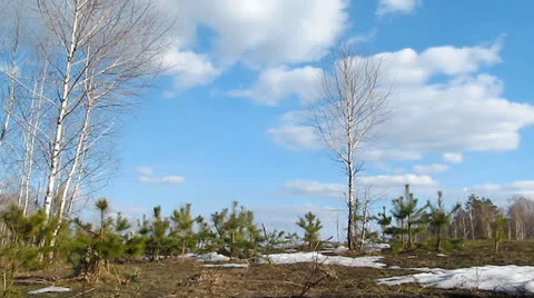 Cloudscape Timelapse Stock Footage 23532428