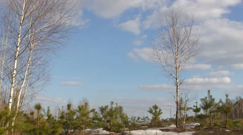 Cloudscape Timelapse Stock Footage 23536693