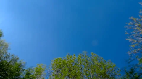 Cloudscape Timelapse Stock Footage 24684004
