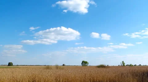 Cloudscape Timelapse Stock Footage 24684194