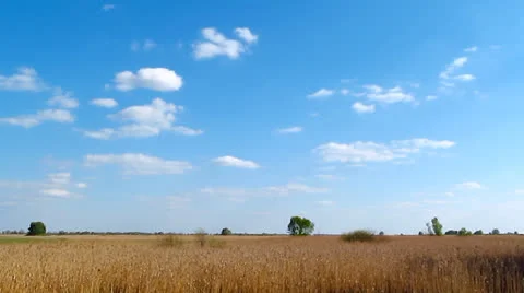 Cloudscape Timelapse Stock Footage 24684324