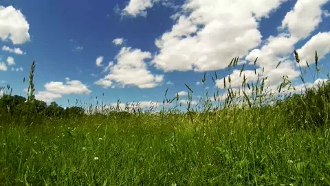 Cloudscapes over green grass Stock Footage 169259993