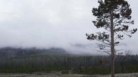 Clouds/fog rolling across the mountainside in Yellowstone Stock Footage 60950794