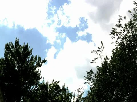 Cloud/Tree Time Lapse #2 Stock Footage 22084201