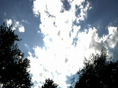 Cloud/Tree time lapse #3 Stock Footage 22084208