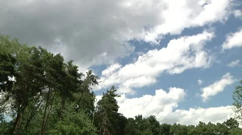 Cloud/Tree Time Lapse Stock Footage 21258704