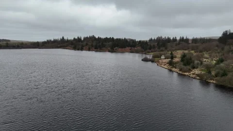 Cloudy and Moody Lake Surrounded By Trees Aerial Shot Stock Footage 338358372