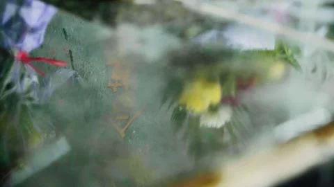 Cloudy and Rainy Cemetery in Wuhan 03 Stock Footage 305608623