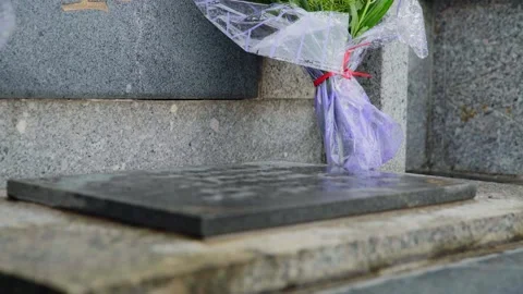 Cloudy and Rainy Cemetery in Wuhan 04 Stock Footage 305608624