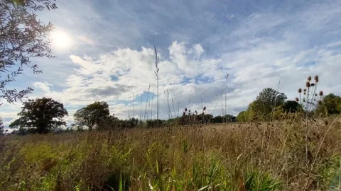 Cloudy and windy day Stock Footage 140964179