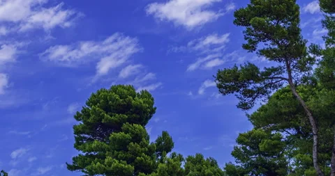 Cloudy and windy sky. Clouds move quickly in the background of some trees Vídeo Stock 284756544