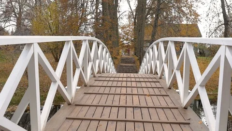 Cloudy autumn day. Camera slowly moves along a white bridge. Around the trees. Video stock 120460290