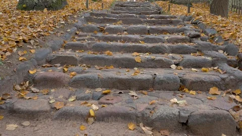 On cloudy autumn day Camera slowly climbs up stone steps Around yellow foliage Video stock 120462158