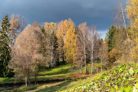 Cloudy autumn day. Stock Photos