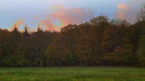 Cloudy autumn meadow timelapse Stock Footage 45013001
